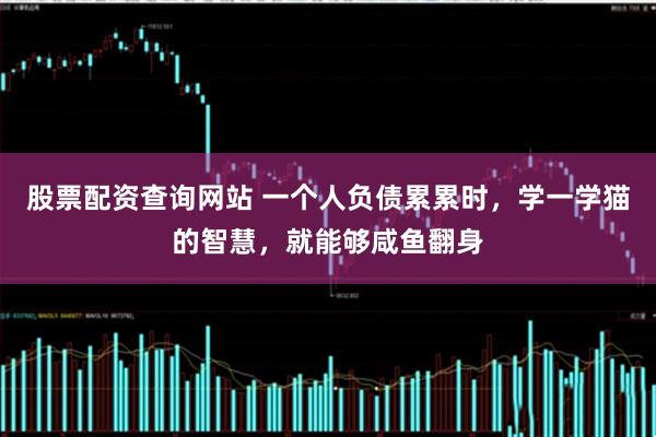 股票配资查询网站 一个人负债累累时，学一学猫的智慧，就能够咸鱼翻身