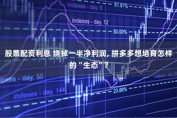 股票配资利息 烧掉一半净利润, 拼多多想培育怎样的“生态”?