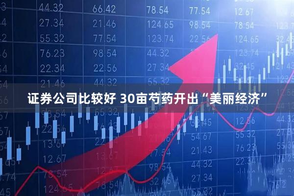 证券公司比较好 30亩芍药开出“美丽经济”