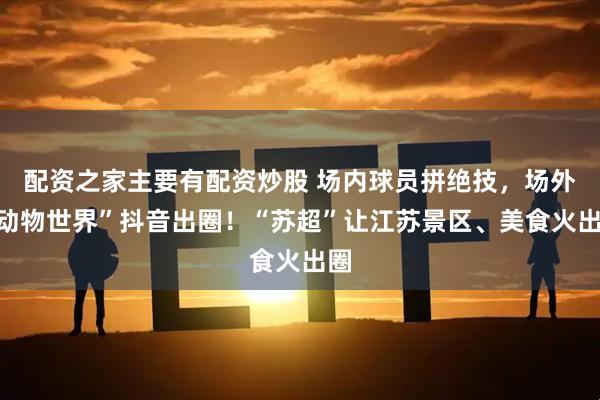 配资之家主要有配资炒股 场内球员拼绝技，场外“动物世界”抖音出圈！“苏超”让江苏景区、美食火出圈