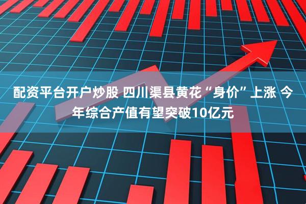 配资平台开户炒股 四川渠县黄花“身价”上涨 今年综合产值有望突破10亿元