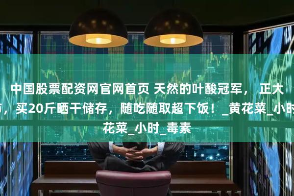 中国股票配资网官网首页 天然的叶酸冠军， 正大量上市，买20斤晒干储存，随吃随取超下饭！_黄花菜_小时_毒素